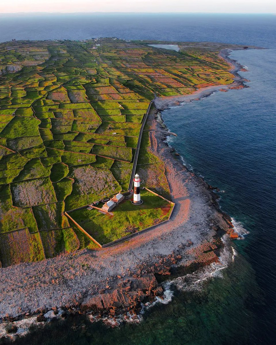 Tourism Ireland tweet media