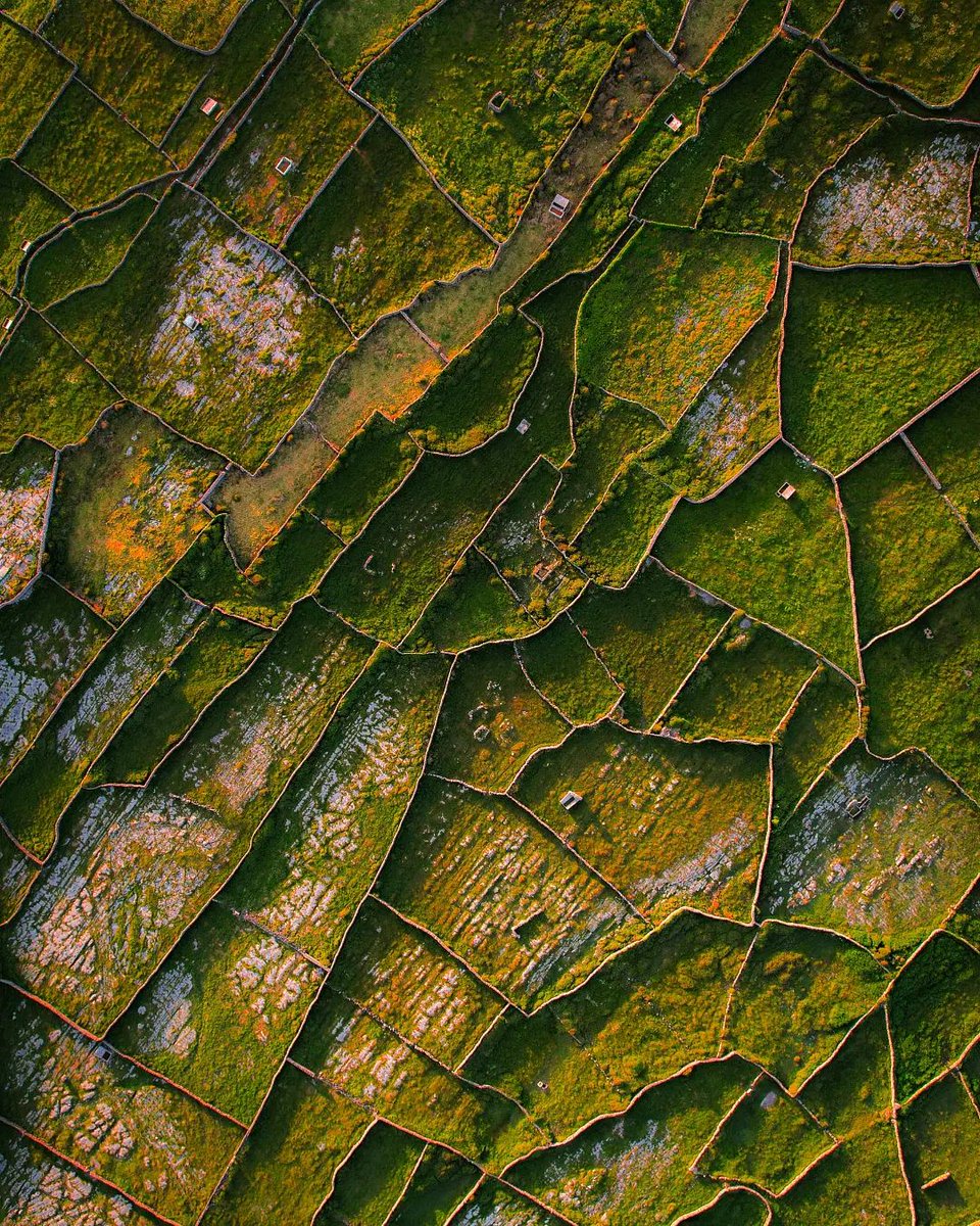 Tourism Ireland tweet media