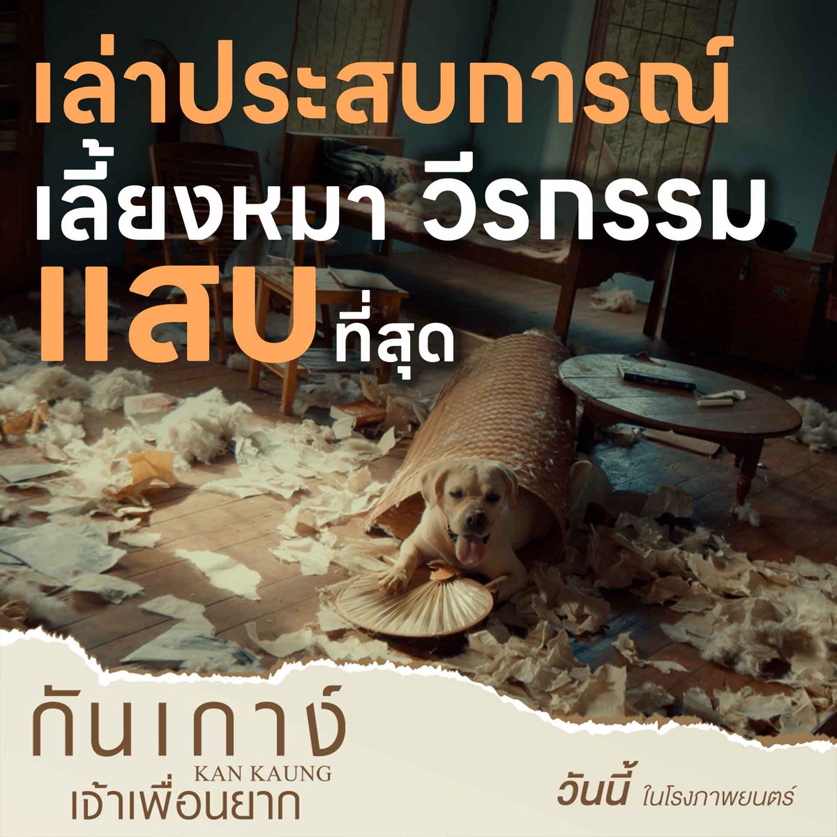 เหล่าทาส มาเล่าประสบการณ์น้องหมา 🐶
วีรกรรมแสนซนแสบสุดๆกันน~

วันนี้ ในโรงภาพยนตร์
ဦးဇင်းနဲ့ ခွေးကလေးကံကောင်းတို့ရဲ့ ကြည်နူးဖွယ်ရာ မေတ္တာဖွဲ့ရုပ်ရှင်ကားကြီး
ဒီနေ့ ရုပ်ရှင်ရုံတွေမှာ ပြသနေပါပြီနော်
#กันเกาง์เจ้าเพื่อนยาก
#KANKAUNG
#ไป่ทาคน #PaingTakhon