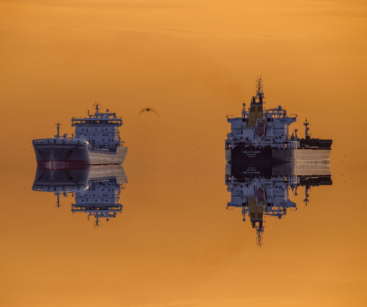 Le repos des géants - estuaire de la Loire
 #saintnazaire #maritime #lumiere #bateau #jaune #reflet