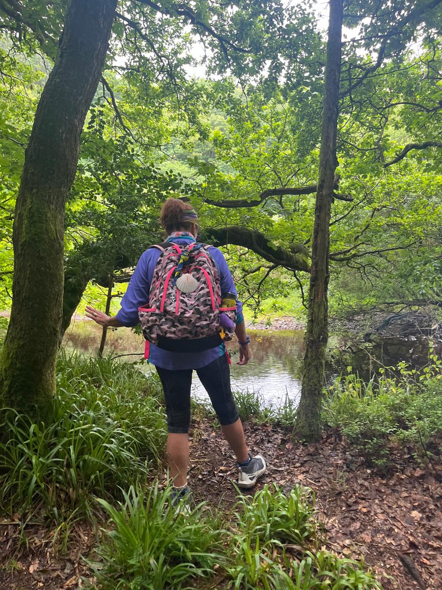 GuidedHiking's tweet photo. Mindfulness Meditation walk in the stunning surroundings of Clara Vale &amp; Glen Wood. Guided by Maria the ladies had a great day out. https://t.co/SPM9kSizvs