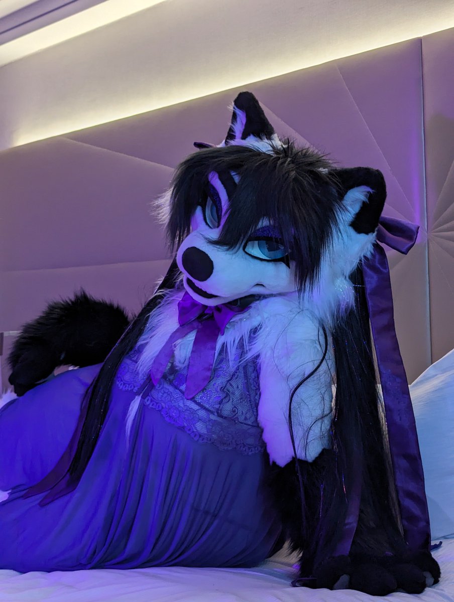 💜Foxyvix💜 tweet media