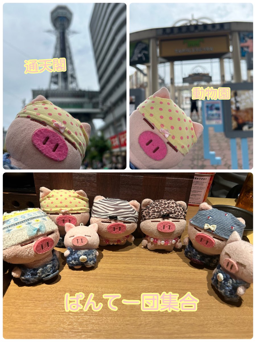 osafWikmbb5VVnK's tweet image. 【休日2日目】

通天閣へは超満員で登れなかったんだ…
そしてメインイベントぶたた会へ🐽

たくさんのぶたたと交流できてずっと笑いっぱなしの楽しい時間を過ごせたよ🐽

楽しい思い出とたくさんのお土産をいただき皆様ありがとうございました🐽

また、皆んなで会えますように🐽
#ぶたた