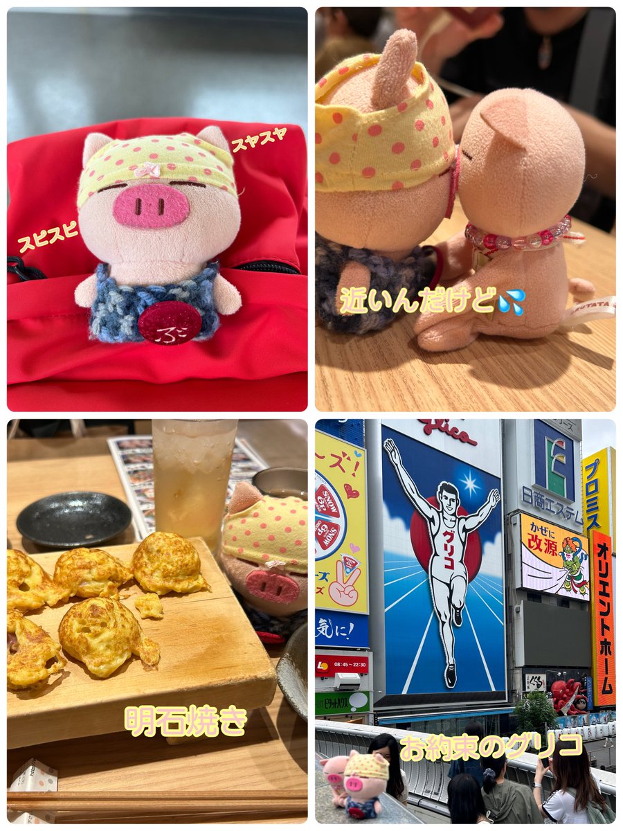 osafWikmbb5VVnK's tweet image. 【休日1日目】

前日の工房の徹夜作業で移動中は寝ていたオイラ🐽

ちょっと近過ぎない💦
ちょこっと観光へ🐽

夕方からはメインイベントのLIVE🐽
4年越しのお約束ライブだよ🐽
ちゅーぶぅ、誘ってくれてありがとうね🐽
雨が心配だったけど降らなくて花火も見られて感動のライブだったよ🐽

#ぶたた