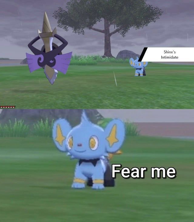 Scourge754's tweet photo. Tiny Pokémon with big man syndrome scare me https://t.co/tmQGn3jbfI