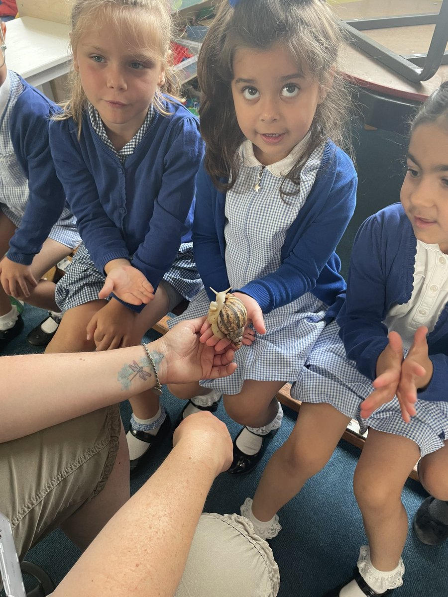 PelhamReception's tweet photo. We are so lucky to have Cairis from the Wiggly Wild Show in Reception today. We are holding and touching lots of different invertebrates! @PelhamPrimary_ @trustilluminate https://t.co/hjFoPR9wt5