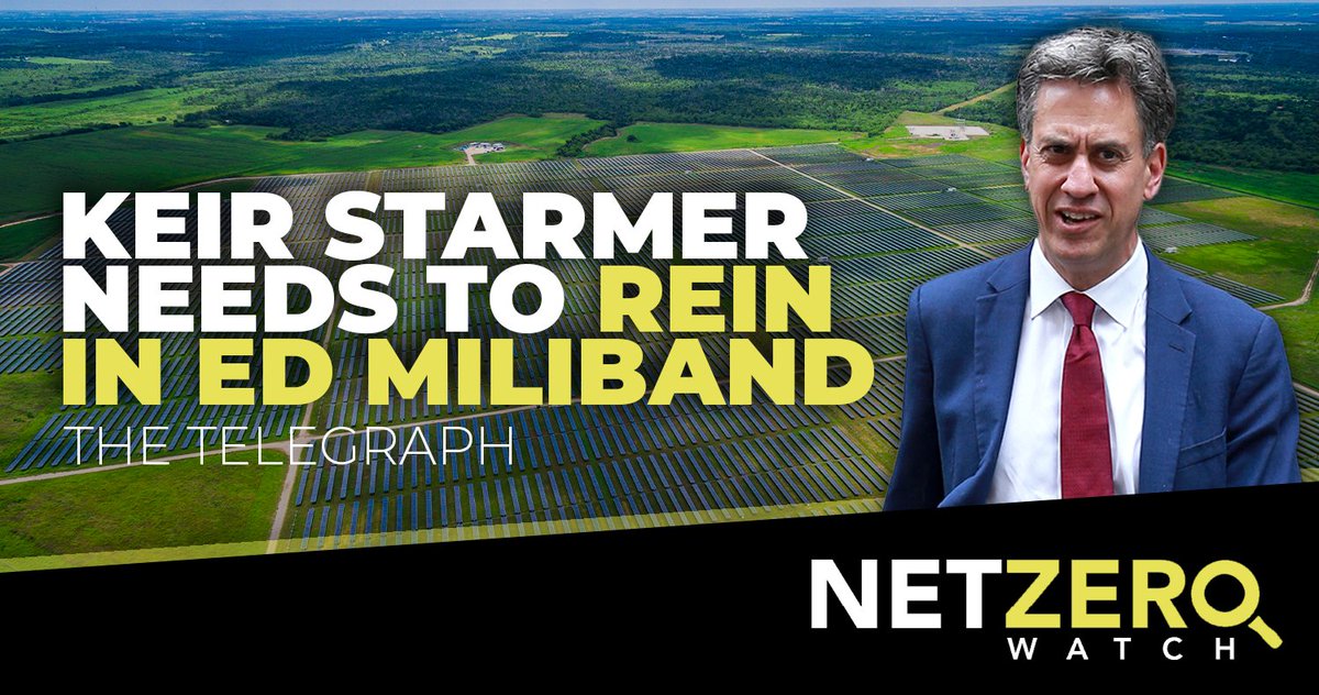 Net Zero Watch tweet media
