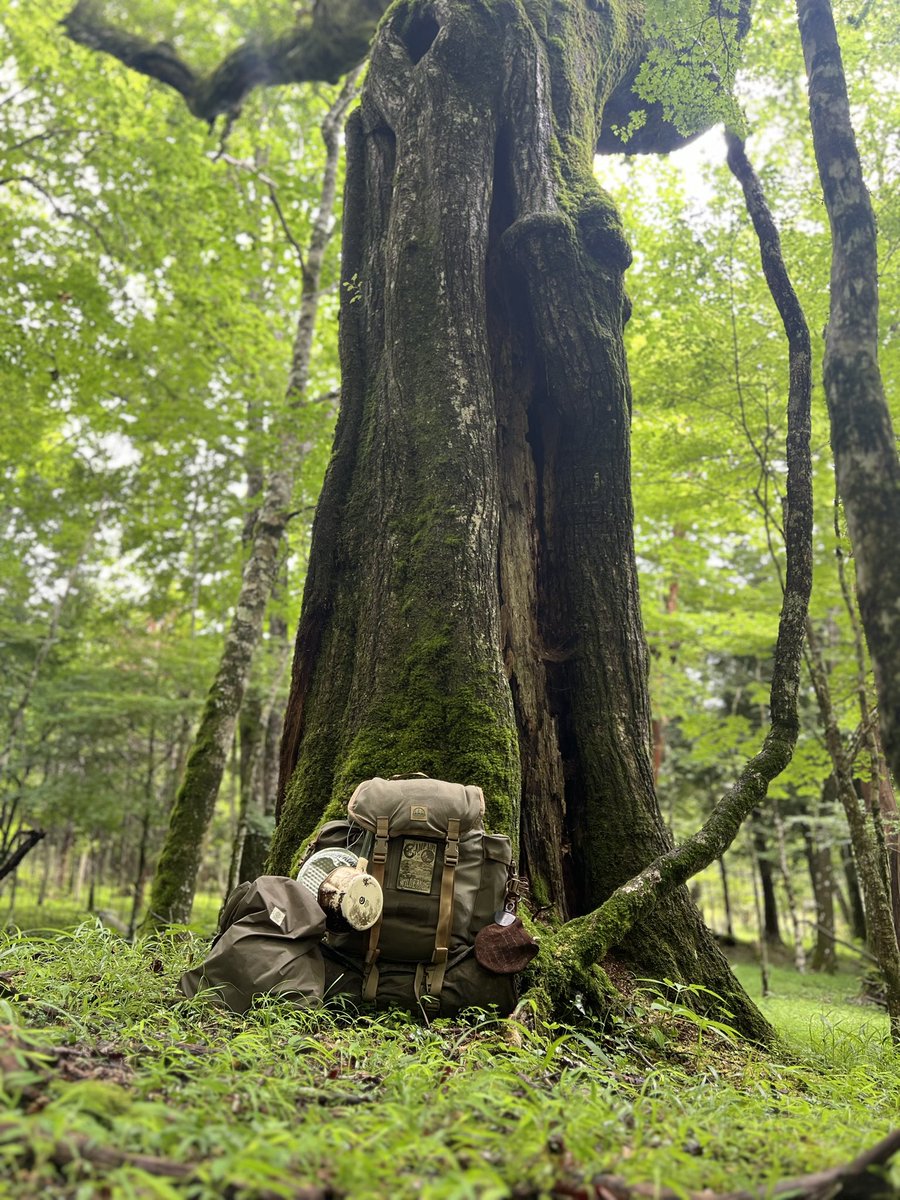 TackWoodworks's tweet photo. @HIIRAGI_CAMP さんのキャンプサブバッグ
行きは買い物した食材をざっくり入れて
帰りは濡れたタープやロープや洗濯物をざっくり入れました
#campsubbag
この森のグランパみたいな木の前で https://t.co/U6fMljZj5p