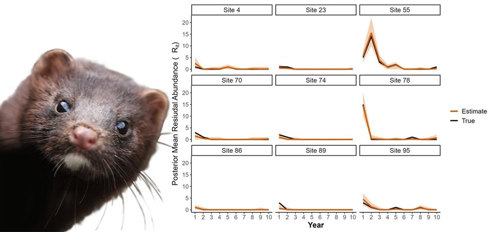 Chris Sutherland (@chrissuthy) on Twitter photo Albert Bonet Bigata: <a href="/abonetb/">Albert Bonet Bigatà</a>
Sentence: Developing spatially explicit Bayesian removal models to estimate landscape-scale invasive mink residual population dynamics
S-2-2 Population Dynamics 1 (Monday 16:15) Albert Bonet Bigata: <a href="/abonetb/">Albert Bonet Bigatà</a>
Sentence: Developing spatially explicit Bayesian removal models to estimate landscape-scale invasive mink residual population dynamics
S-2-2 Population Dynamics 1 (Monday 16:15)