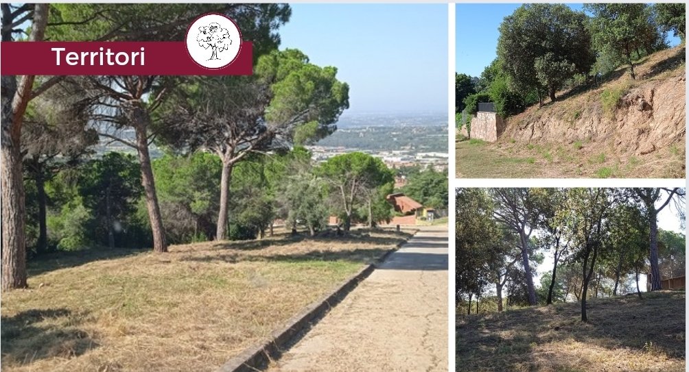 ✅️ Ja han finalitzat les tasques de manteniment de les franges de protecció d'incendis forestal de #laGarriga a l'entorn dels Tremolencs i dels sectors de Can Vilanova i Can Poi del Bosc.

ℹ️  lagarriga.cat/actualitat/man…