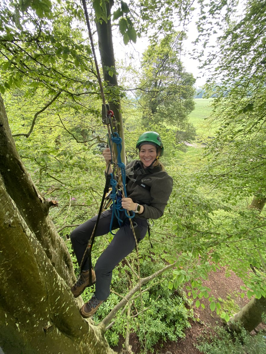 James Aldred tweet media