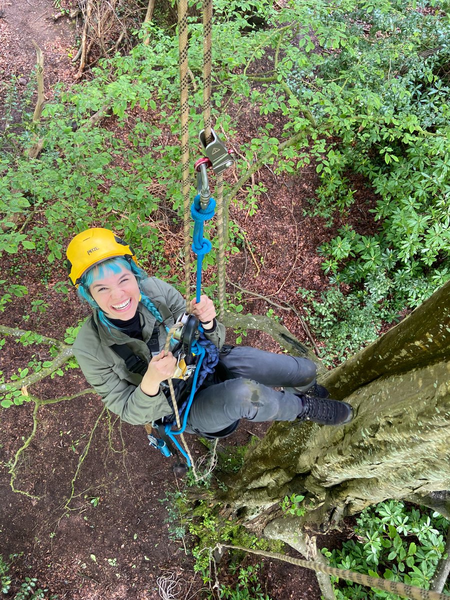 James Aldred tweet media