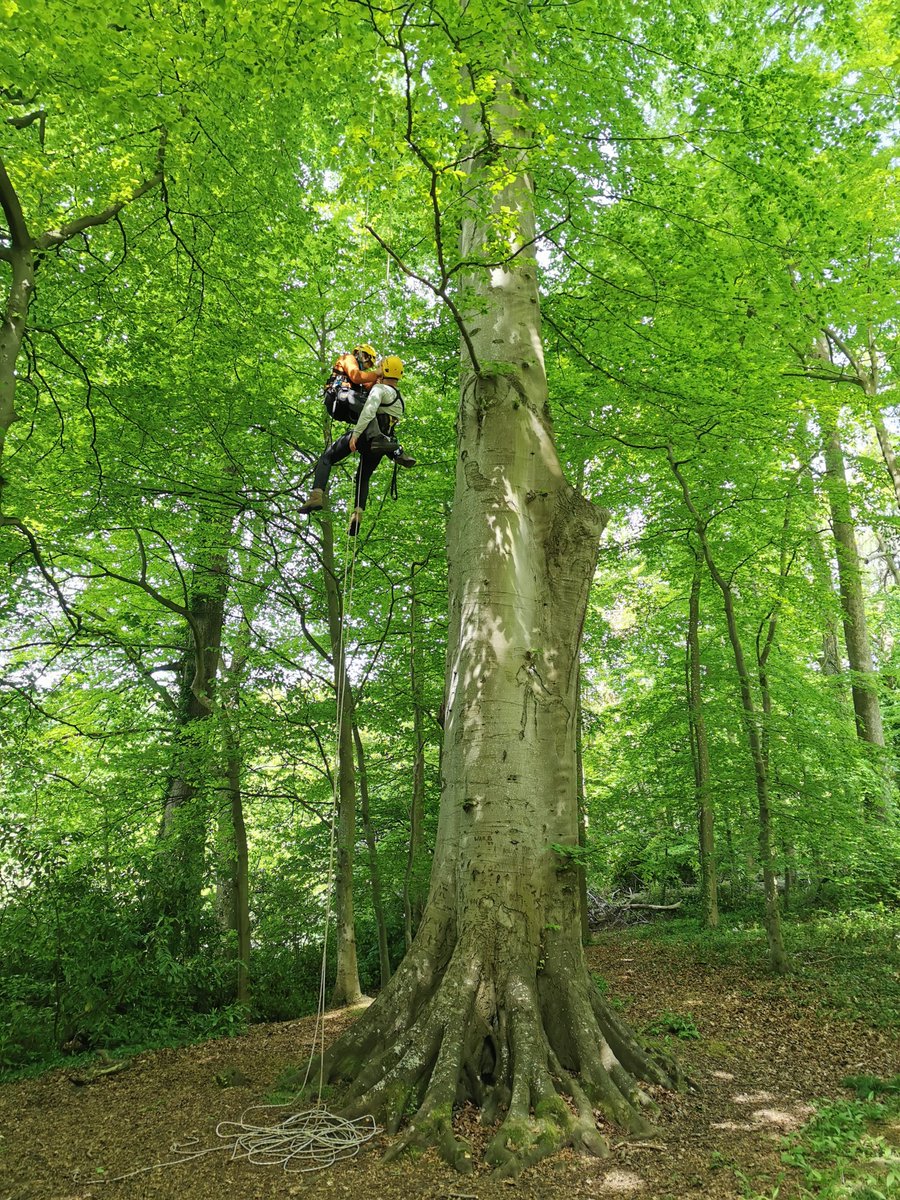 Ever fancied learning how to #climb BIG #trees?   

One place left on our #CanopyAccess course, Bristol 5th - 9th August.

Our #LANTRA accredited 5-day #BCAP will teach you to rig &amp; climb trees safely. 

Please DM or visit canopyaccess.co.uk for more info. 

Thanks!🌳😊
