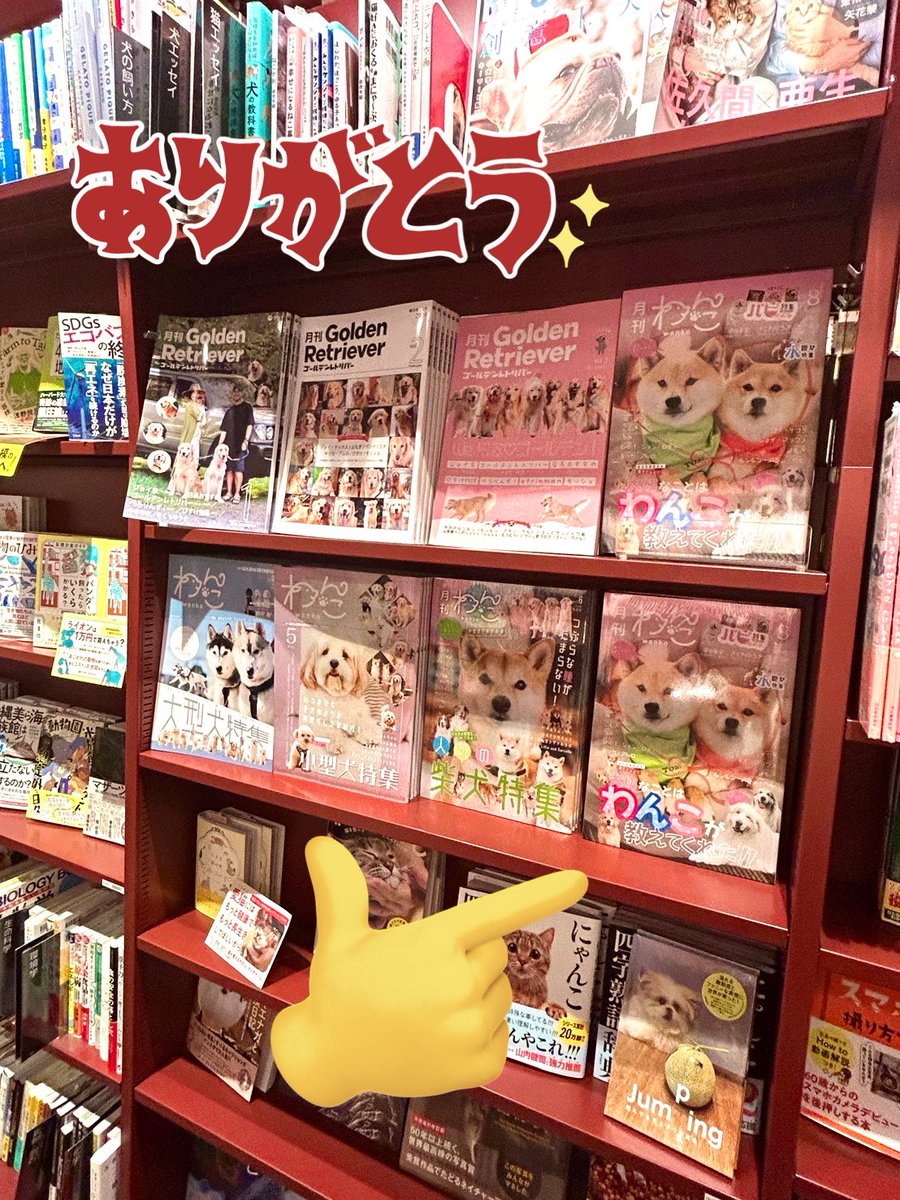 取り扱い書店】 TSUTAYA恵比寿ガーデンプレイス店（東京都渋谷区恵比寿
