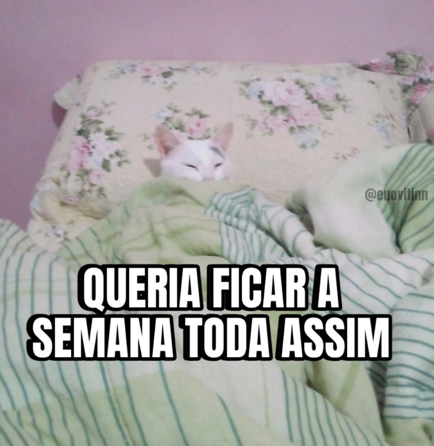 Trouxinha tweet media