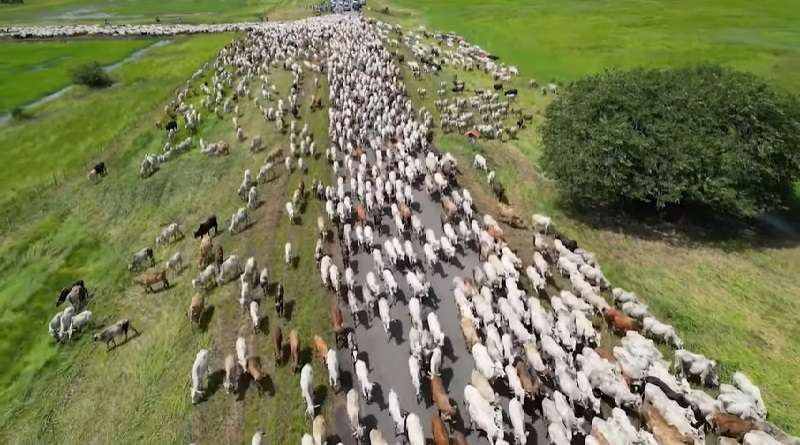 Ministerio de Comunicación e Información tweet media