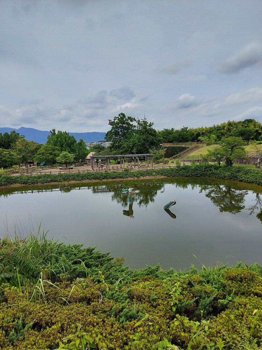 lenten_monkey's tweet photo. 今日は午後から雨予報なので、近場ツーリングです！

竹取公園から大門ダムまで走りました！

信貴山の開運バンジーは一度はチャレンジしたいですが、なかなか機会が。。。 https://t.co/1FJpQd9mSb