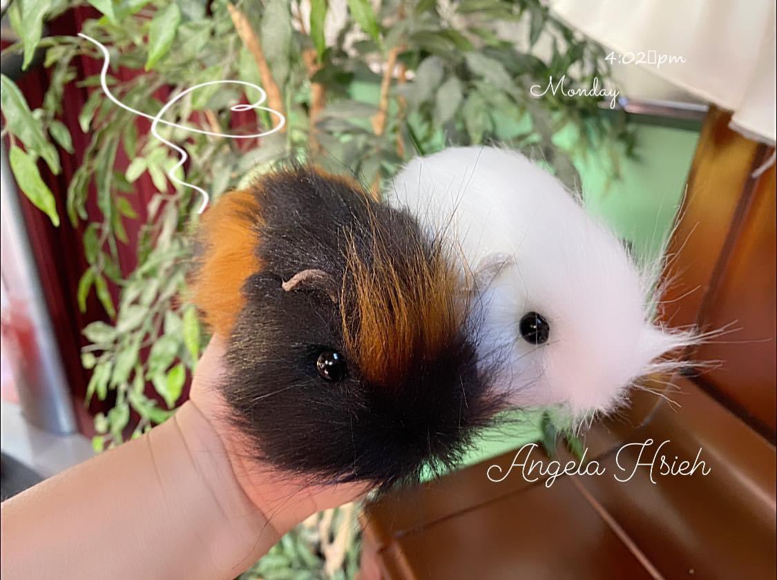 plushguineapigs's tweet photo. Custom made Guinea Pig Keychain 🐹
** If you’d like a custom design plush or keychain for your Guinea pig, simply just pm me the photos of your loved ones ❤️
#handmadebyangelahsieh
#plushguineapigs #keychaincustom #guineapigplush #giftidea #plush #gift #nzmade #handmade https://t.co/C1aIJodkal