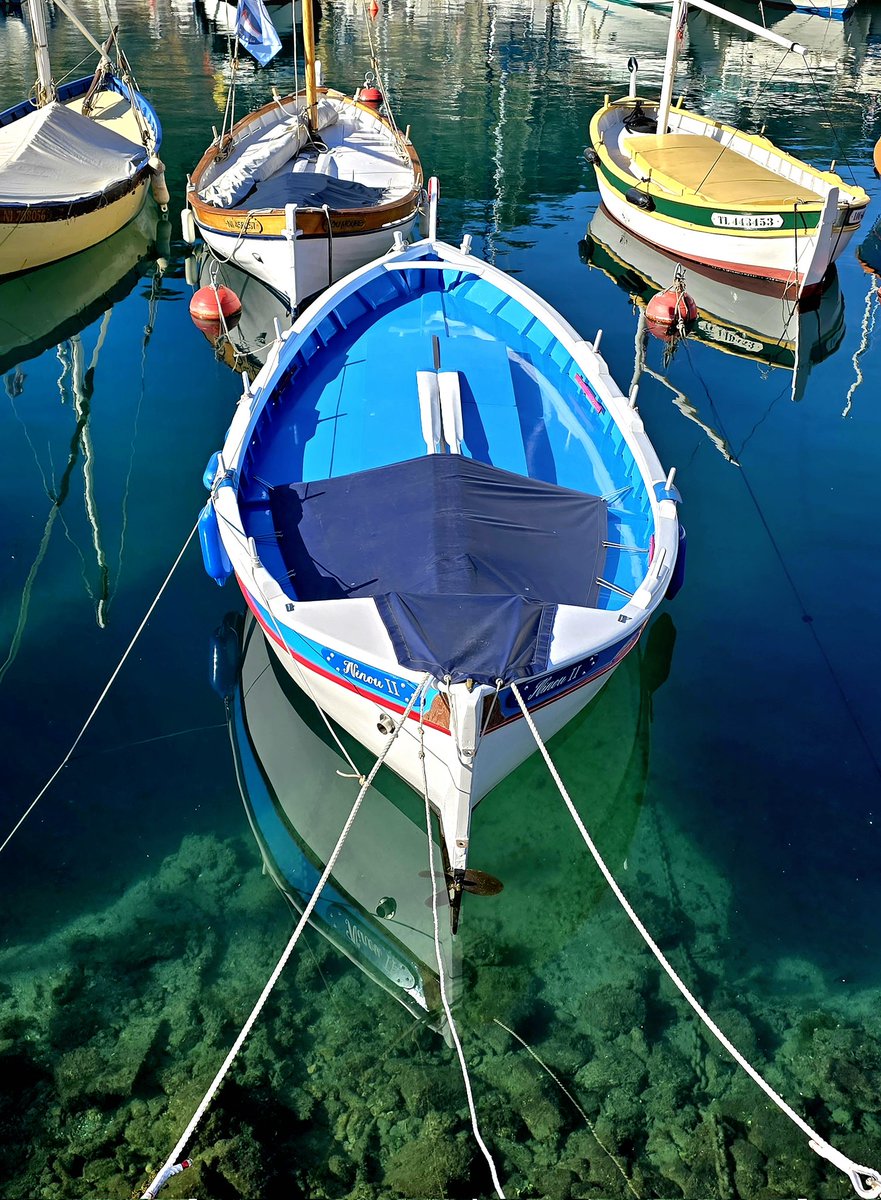 cd_land's tweet photo. #MondayMotivation Pointus au port de Nice. 😍
#NiceCotedAzur #PortdeNice #pointus #CotedAzurFrance
@ExploreNCA @VisitCotedazur https://t.co/xFhNkJm1Nu