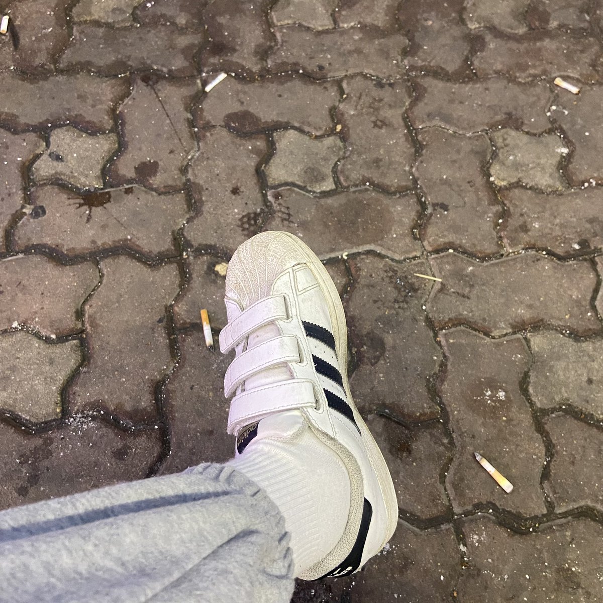 sockseller2's tweet photo. 발걸레들 움직일시간 ~ 빨리 와서 돈 뜯기고 사진 받아가야지 ? 빨리와 호구들아 ㅋㅋㅋㅋ❤️
#노견 #노예 #라관 #발걸레 #상납 #인간atm #인간지갑 #자지갑 #페티쉬물품 #핀돔 #핀섭 #호구 https://t.co/vOmoIvOORt