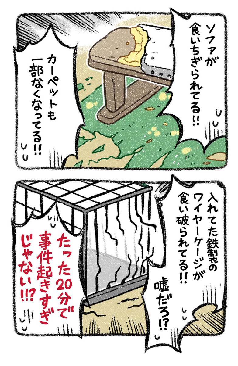 ▼17話 事件です 