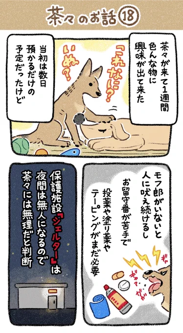 ▼18話 ほめてぇ 