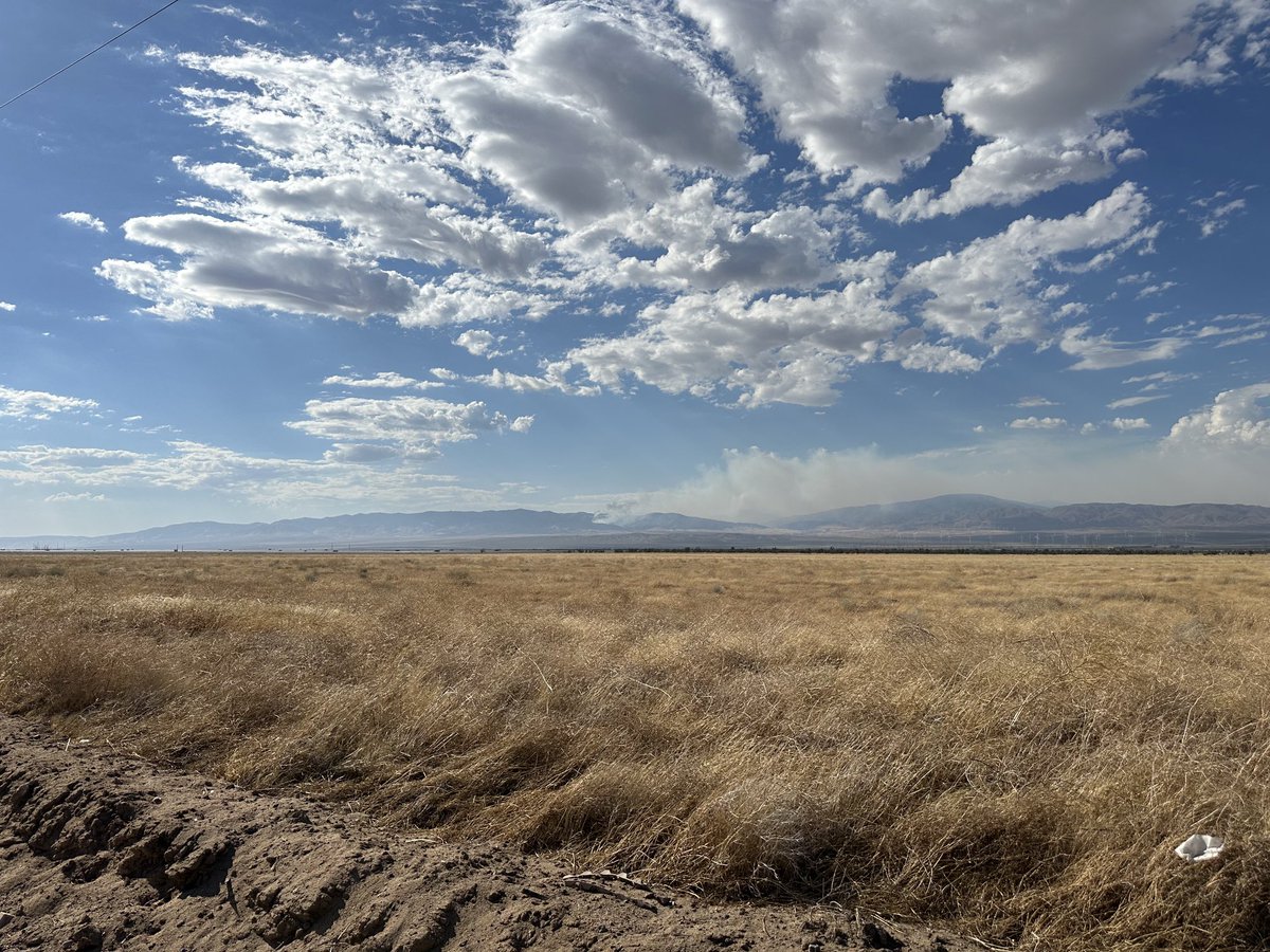 CaLandBird's tweet image. #WhiteFire this afternoon….