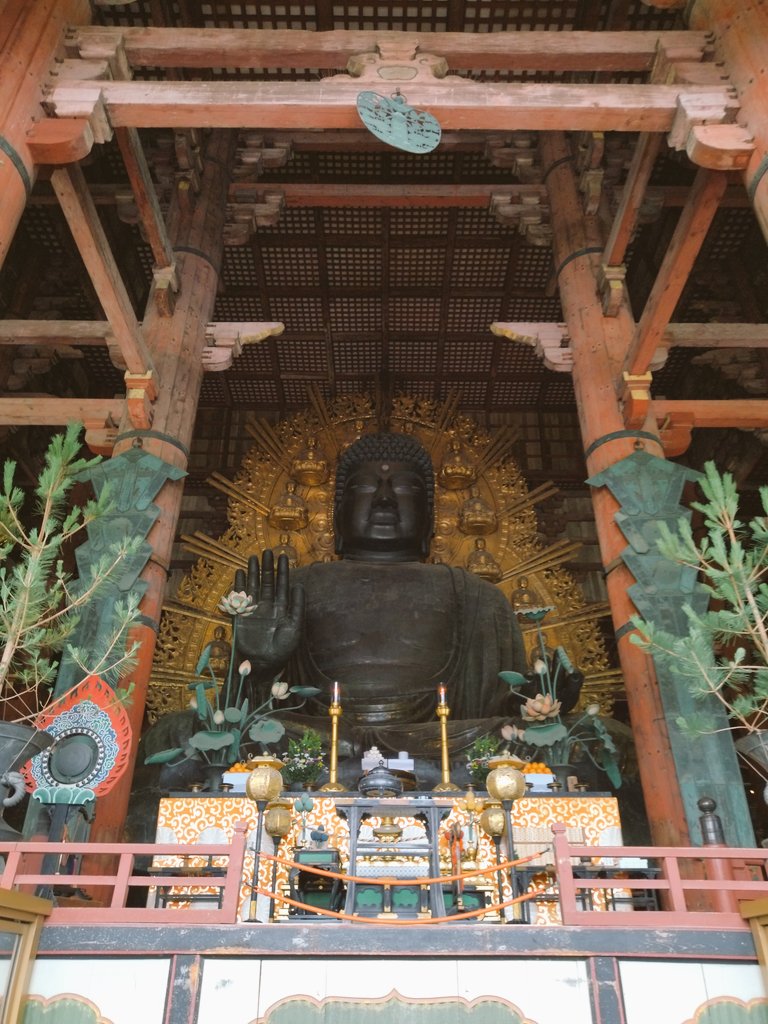 AEUGkuwatoro's tweet photo. 鹿ブームなので久しぶりに行ってきた https://t.co/PXECtZLkST