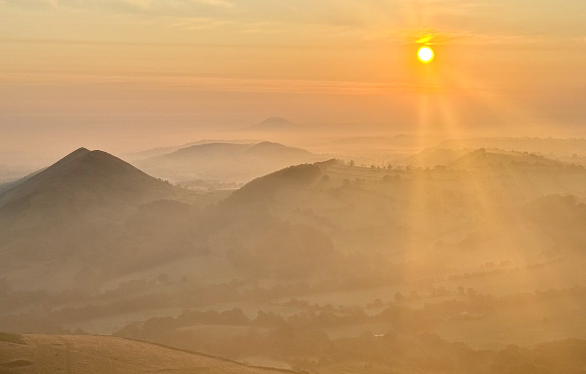 Steven Keating tweet media