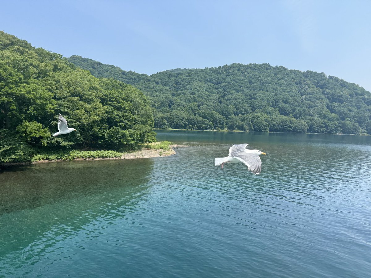 北海道また来るわ〜👋