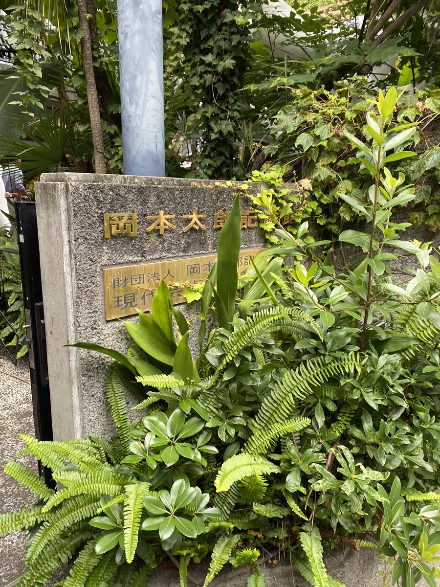 Xiamei1995's tweet photo. 今日はずっと来たかった岡本太郎記念館にきました！
素敵な空間にすごく癒されました。
＃岡本太郎記念館 https://t.co/60N4fgZRJc