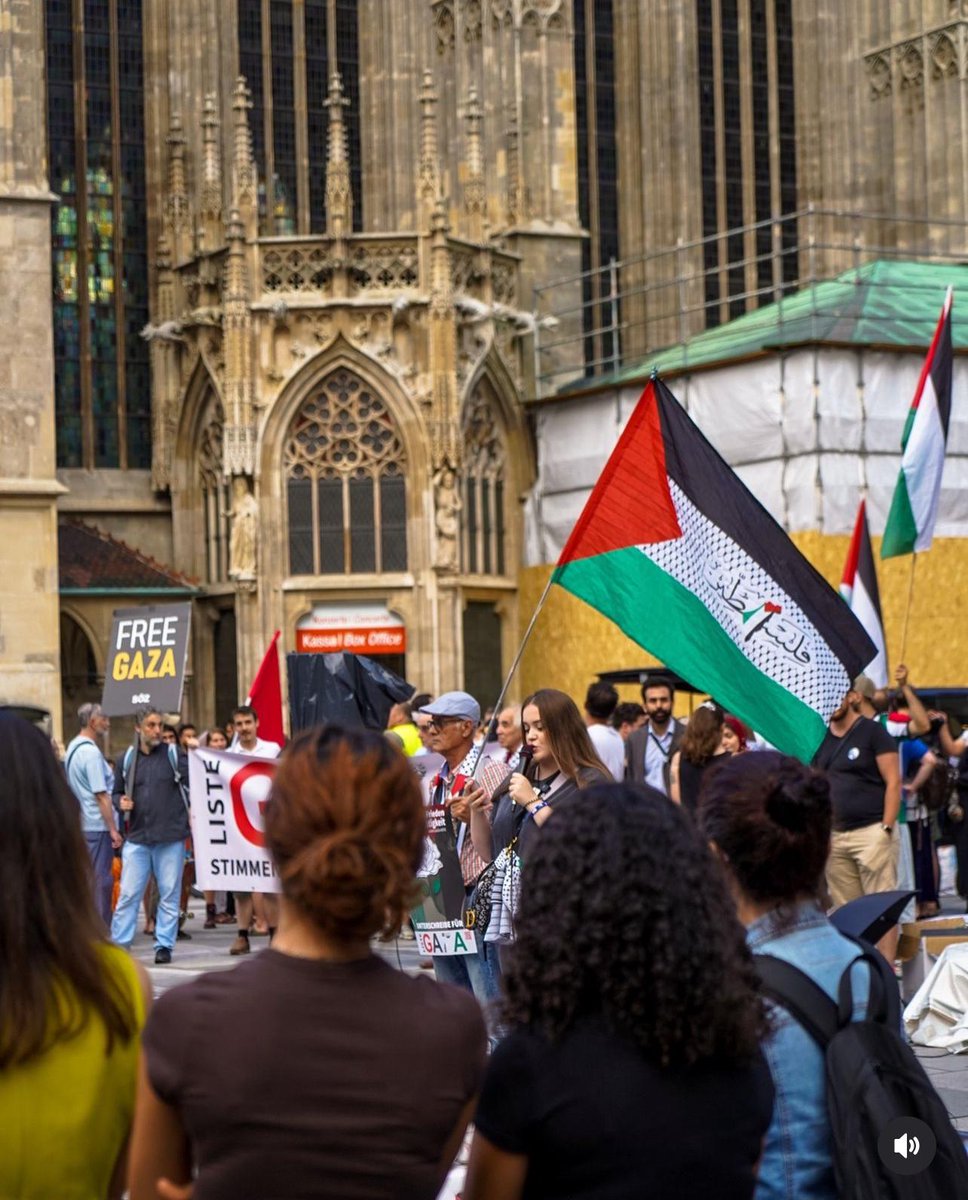 A massive demonstration for Palestine in Vienna, Austria.