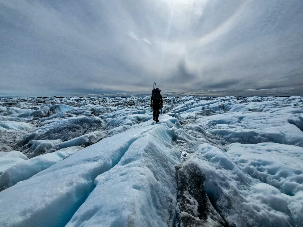 Matt Peacey tweet media