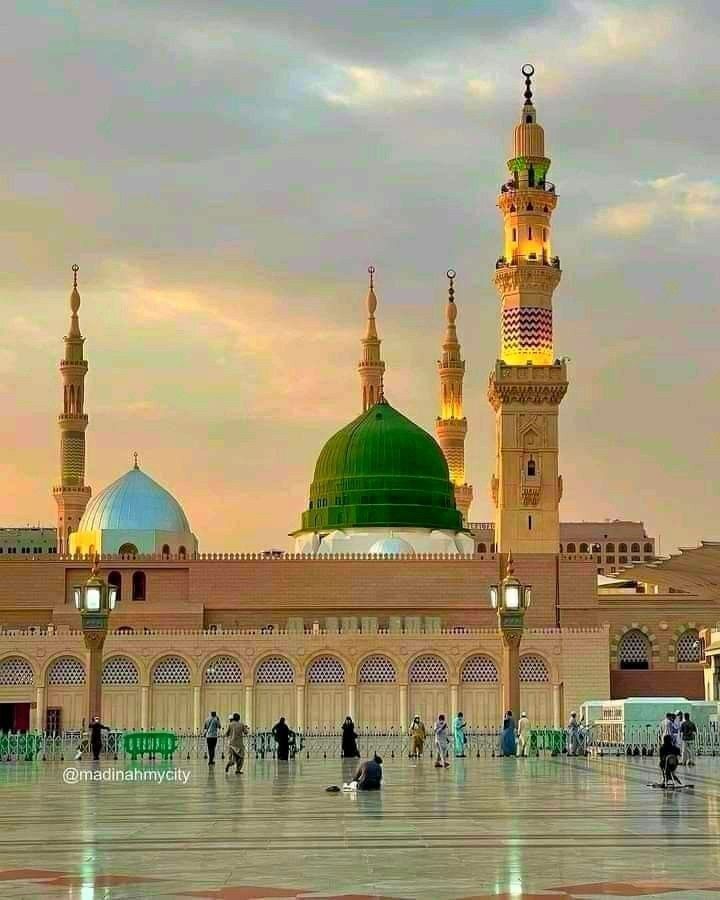 rehaan 🌹 tweet media