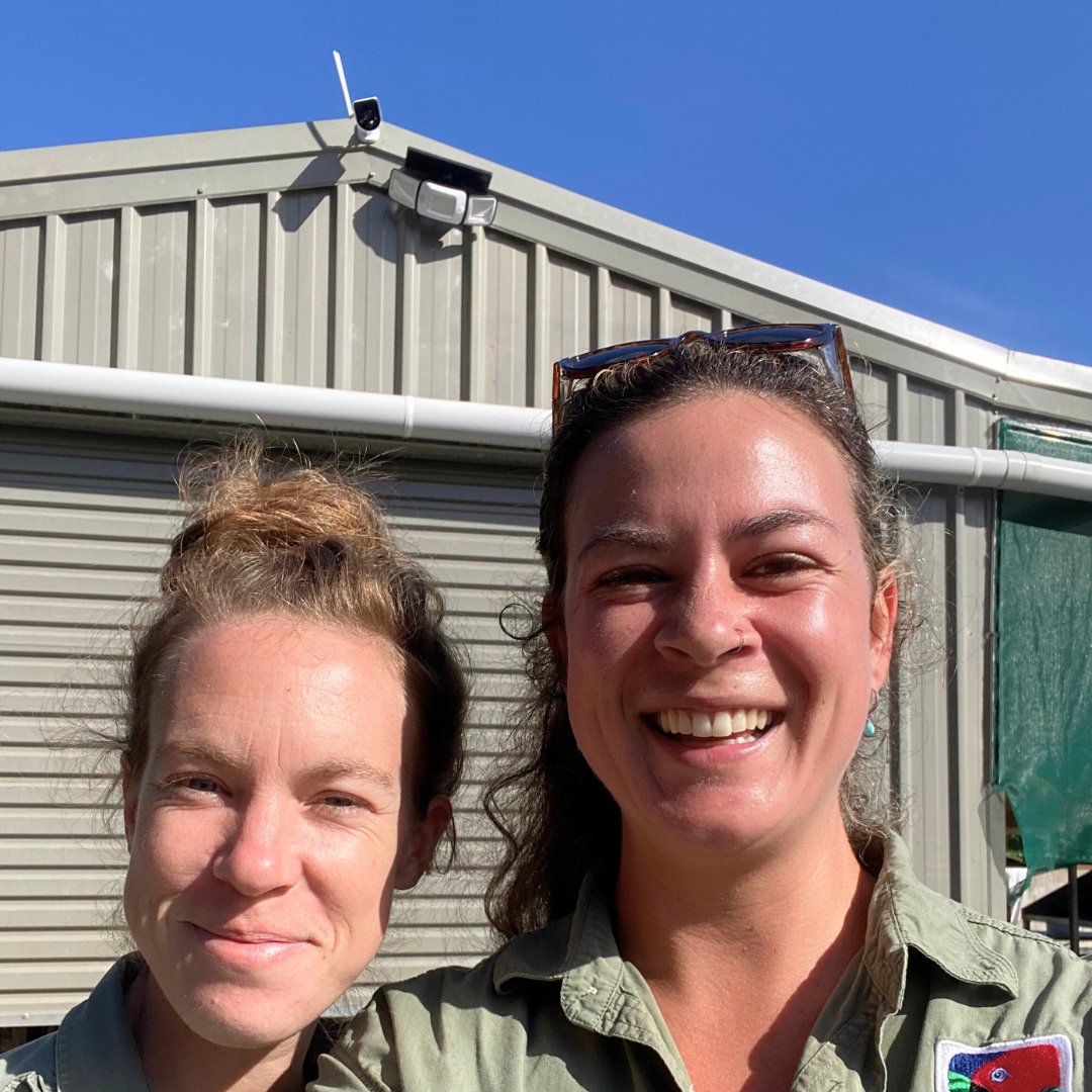 RFR_AU's tweet image. Thank you for helping fund the largest nursery in the Daintree! Because of you, we will propagate &amp;amp; plant more trees than ever before 🌱🌳
The future is looking greener, and it’s thanks to you 🙏💚

rainforestrescue.org.au

#TreesAreTheAnswer #TheBestTimeIsNow #DaintreeRainforest