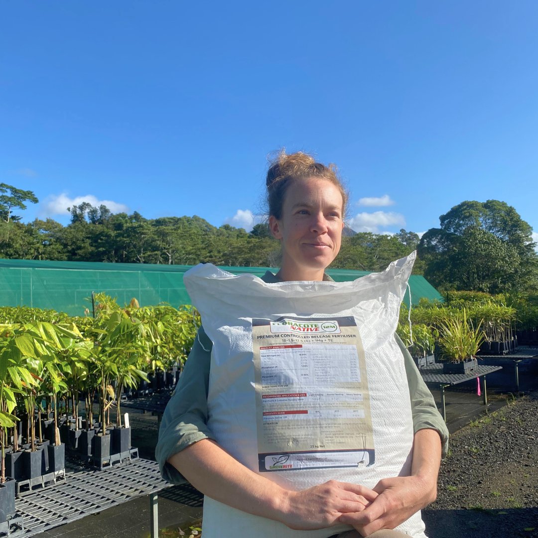 RFR_AU's tweet image. Thank you for helping fund the largest nursery in the Daintree! Because of you, we will propagate &amp;amp; plant more trees than ever before 🌱🌳
The future is looking greener, and it’s thanks to you 🙏💚

rainforestrescue.org.au

#TreesAreTheAnswer #TheBestTimeIsNow #DaintreeRainforest