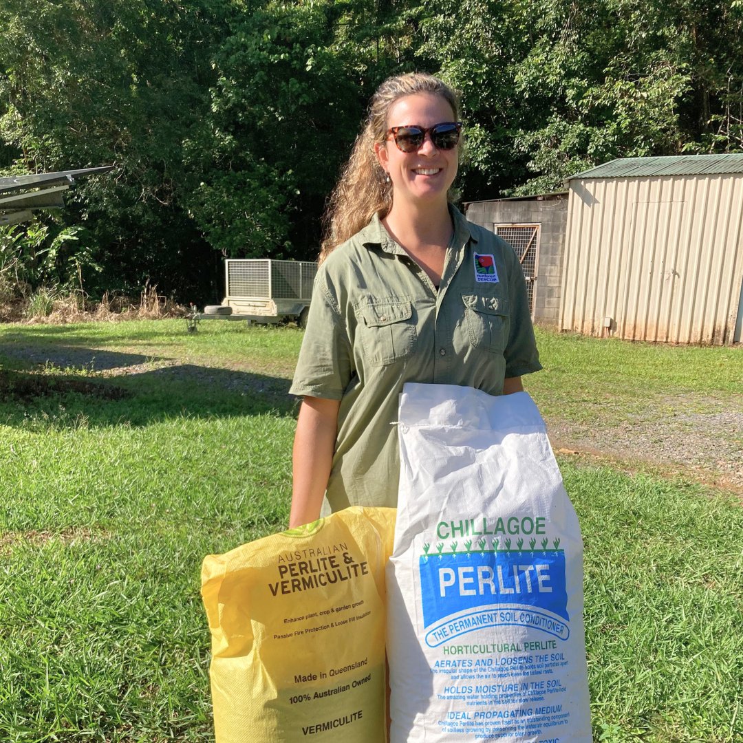 RFR_AU's tweet image. Thank you for helping fund the largest nursery in the Daintree! Because of you, we will propagate &amp;amp; plant more trees than ever before 🌱🌳
The future is looking greener, and it’s thanks to you 🙏💚

rainforestrescue.org.au

#TreesAreTheAnswer #TheBestTimeIsNow #DaintreeRainforest