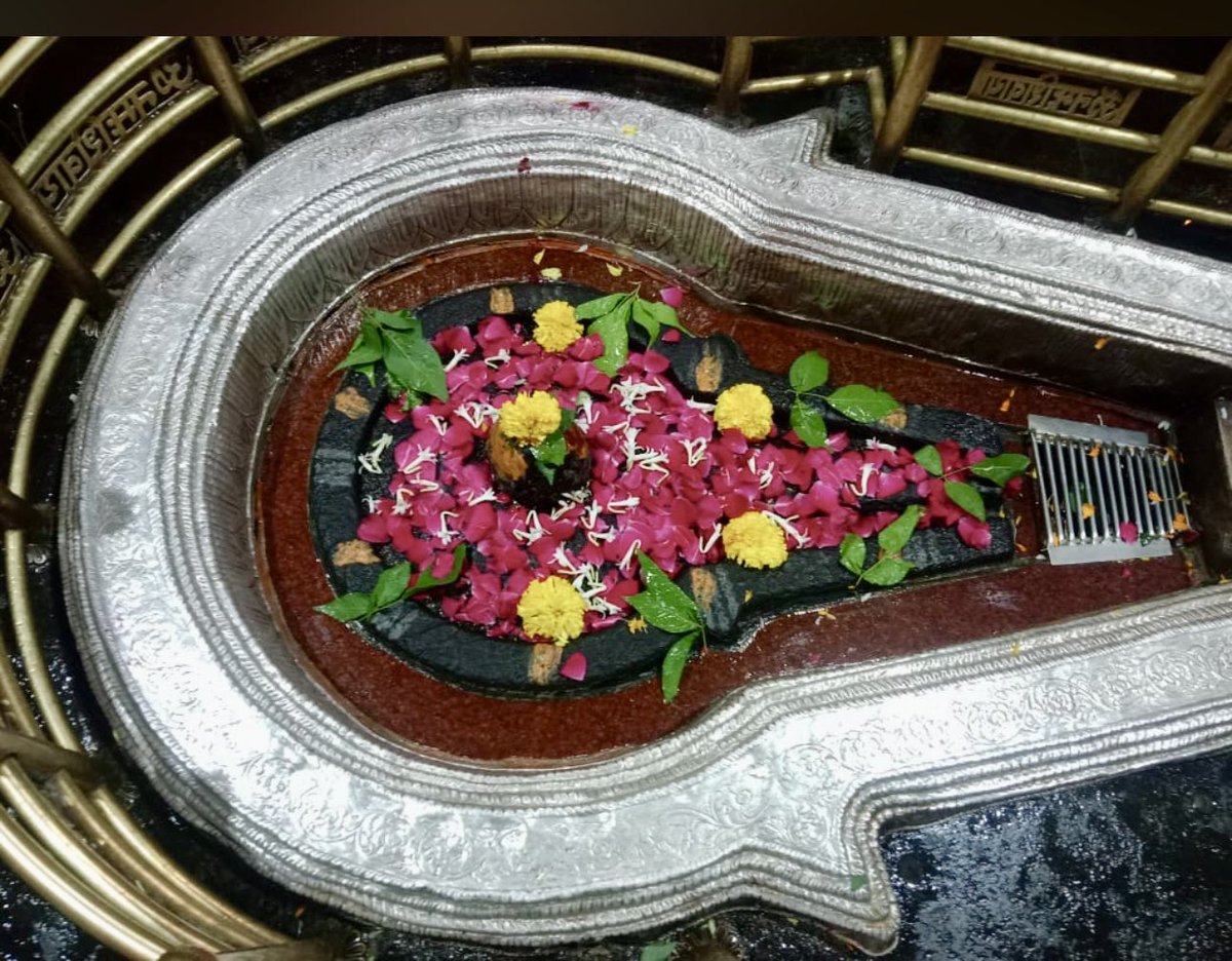 श्री भीमाशंकर ज्योतिर्लिंग जी के आज के मंगला आरती श्रृंगार दिव्य दर्शन 15.07.2024