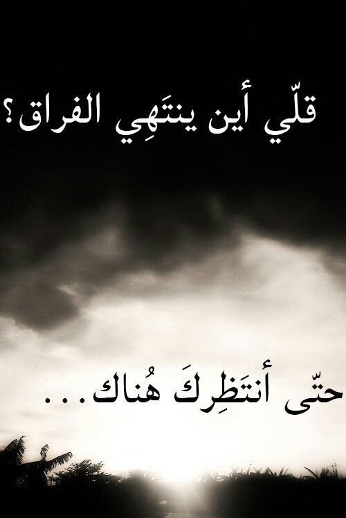 كلماتكِ التي تكتبينها عن الحب أعيد قرأتها 
فهي تجذبني نحوك كثيرآ وكانك تكتبي لي..