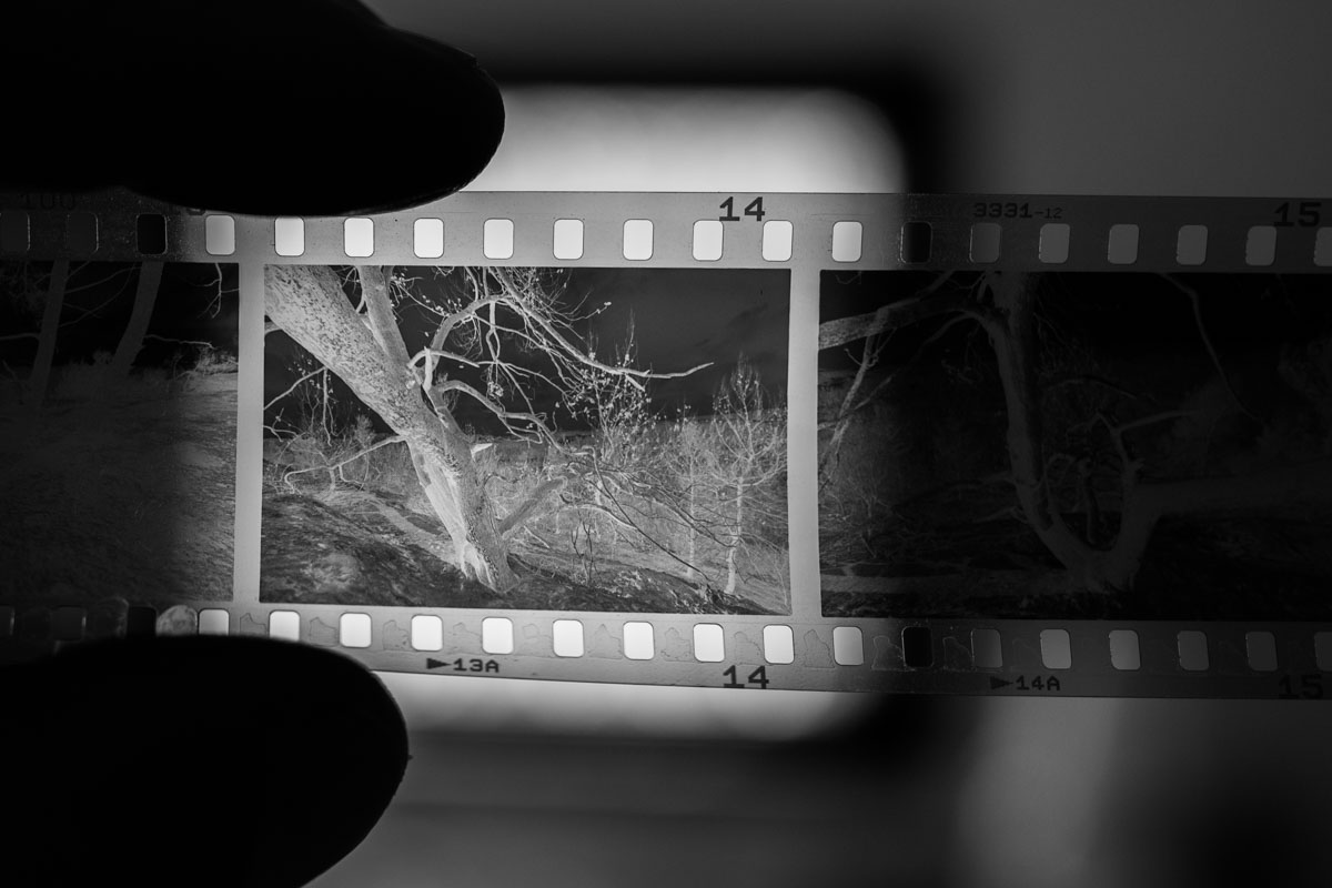 Victor Bezrukov tweet media