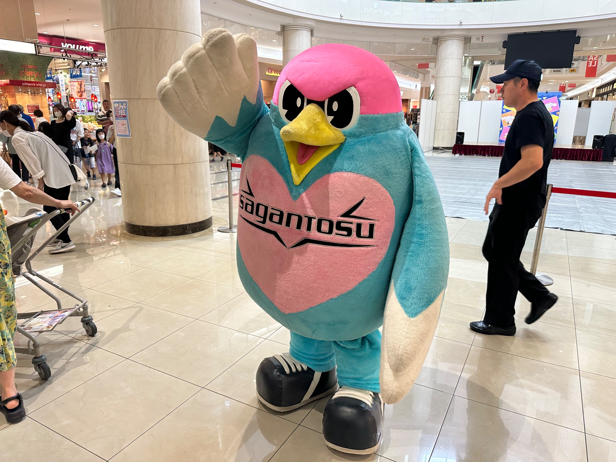 サガン鳥栖公式 on X: 