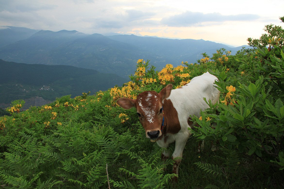 sovietsoleri's tweet photo. https://t.co/4gNmYNtyKz