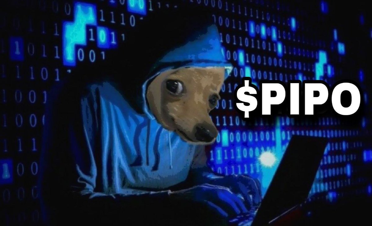 PIPO tweet media
