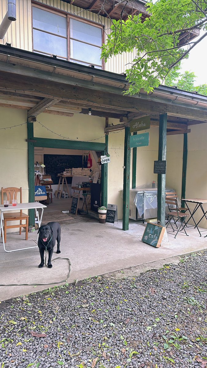 umekochanyo's tweet photo. 今日は看板犬の日
楽しく過ごしてます🩷
山形市長谷堂117
hibicafe lanai Open Day
17:00まで
遊びにきてね! https://t.co/jlXwbgbpoe