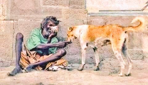 vishnuvaishnav0's tweet image. किसी को कुछ देने के लिए धन दौलत नहीं, एक बड़ा दिल होना चाहिए ।
कहते है पैसे नाल अमीर ते कोई भी हो सकदा है, पर दिल दी अमीरी वाहेगुरु विरले को देता है ।
#JusticeForDivya #Mandsaur #SocialMediaDay #JusticeForMandsaurGirl #WorldCup #ambaniwedding #Rohingya #MandsaurMeinAdharm