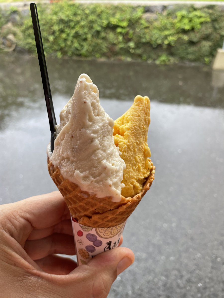 Tak4reeTea's tweet photo. ポポロのジェラート。いちじくとかぼちゃ。
#角島ジェラート
#POPORO https://t.co/LWpcgjX74u