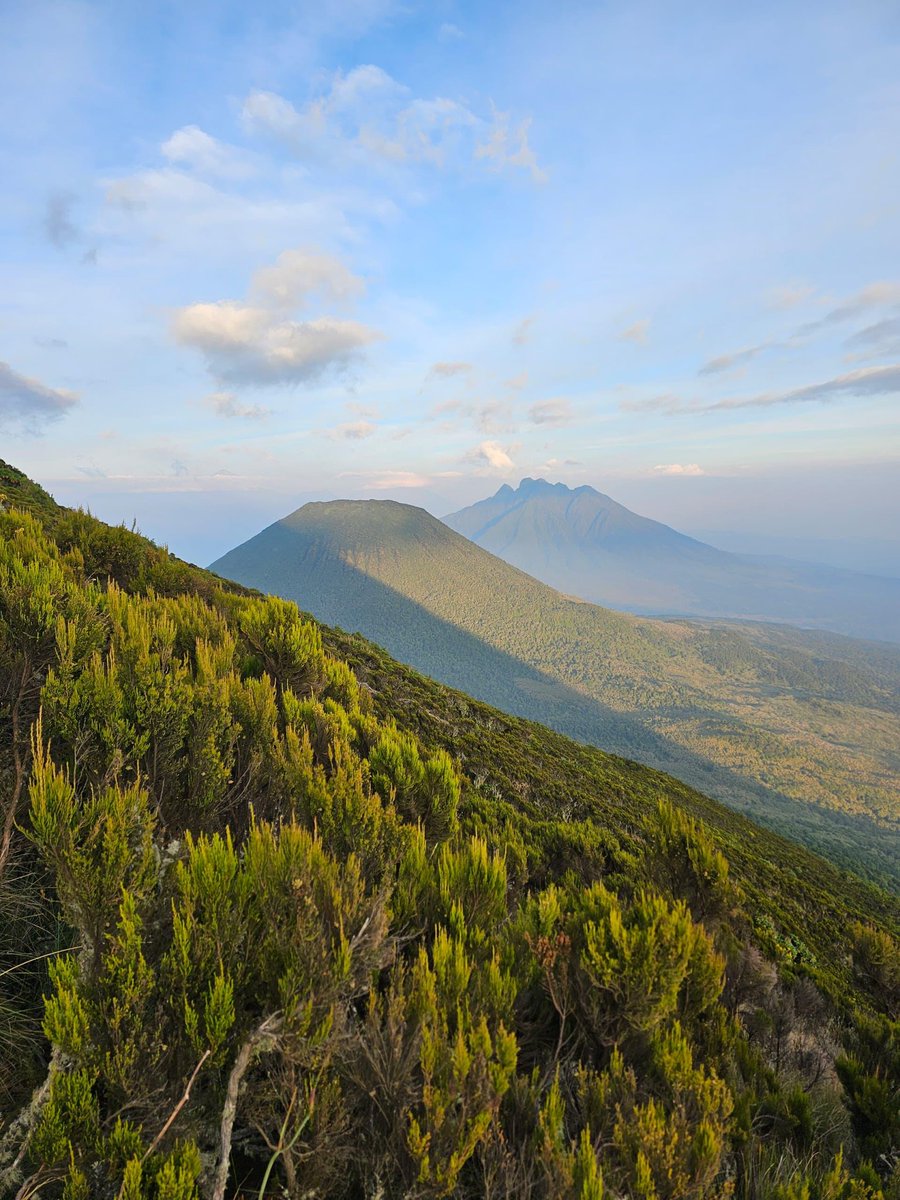 May your week be as this Virunga shot
