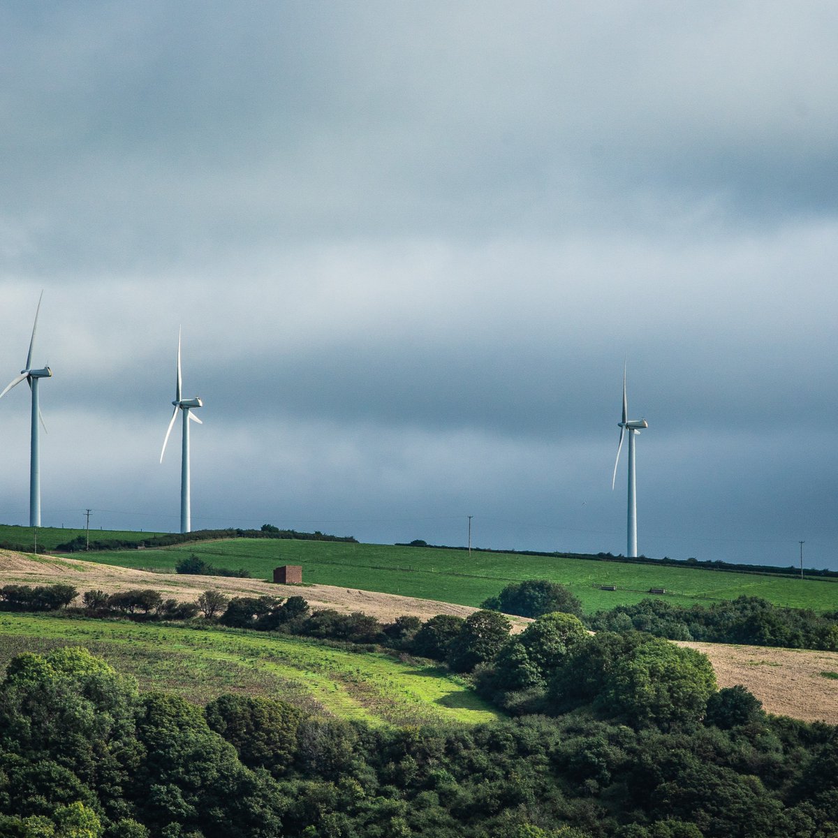 Today we're launching Trydan Gwyrdd Cymru - a renewables company for Wales 🏴󠁧󠁢󠁷󠁬󠁳󠁿🔋

TGC will accelerate the development of renewable energy projects on the wider Welsh public estate and maximise their value for the people of Wales.

More to follow...