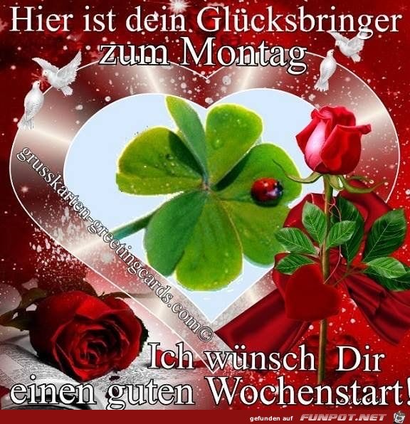 Otto Schmidiger (@oschmidiger) on Twitter photo 