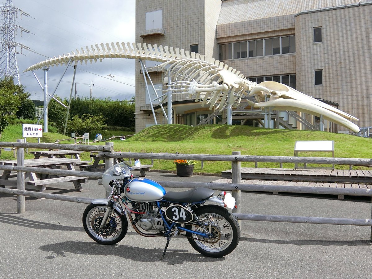 ST250_CafeRacer's tweet photo. 今日の関東は、全般的に曇りや雨の予報でした。
ただ、房総半島南部だけ、午前中晴れ予報でしたので、早朝のうちに行って来ました。 https://t.co/BmuPlcC4B7